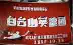 英雄革命事迹作文5篇