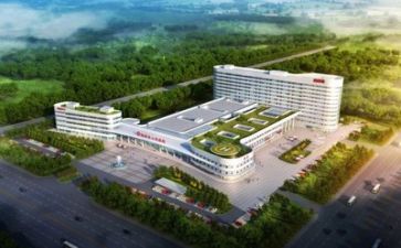 医院年度述职报告6篇