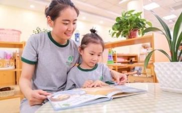 幼师个人计划工作计划模板8篇