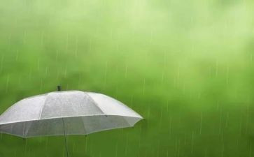 小班语言《下雨》教案6篇