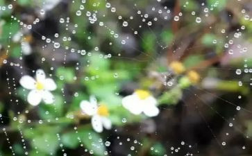 下雨的作文400字6篇