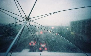 雨霖铃教案参考8篇