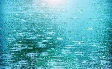 描写雨的作文400字模板7篇