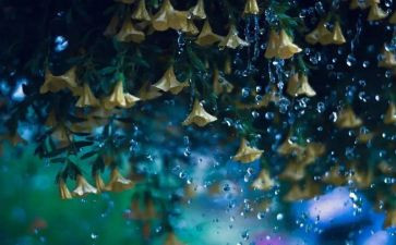 读小英雄雨来的心得体会8篇
