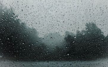 雨的语言教案精选7篇
