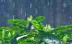 雨中的故事作文7篇