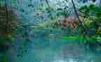 写雨的作文400字7篇