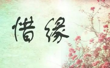 与花结缘作文8篇