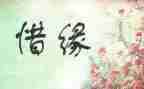 与花结缘作文8篇