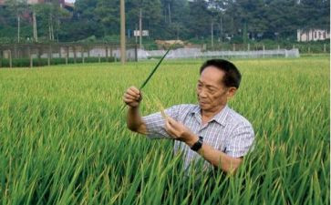 谈袁隆平作文参考5篇
