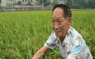 袁隆平事迹心得体会400最新6篇