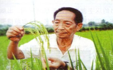 袁隆平事迹的心得体会7篇