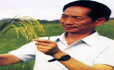 谈袁隆平作文8篇