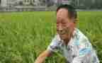 袁隆平事迹心得体会400最新6篇