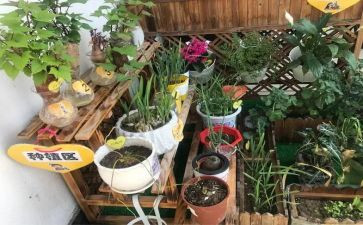 教师幼儿园培训心得体会模板7篇