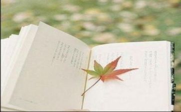 碎片化阅读的弊作文最新7篇