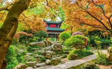 岳麓山心得体会8篇