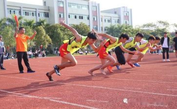市运会总结报告5篇