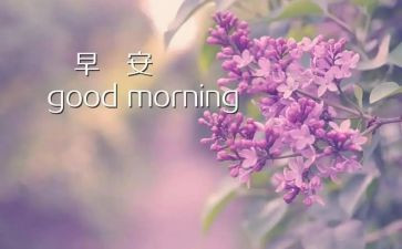 关于写早晨的作文5篇