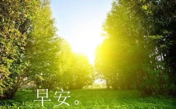 社区早教活动方案7篇
