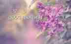 关于写早晨的作文5篇