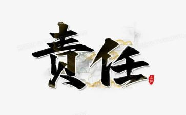 主体责任述职报告5篇