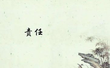 落实全面从严治党主体责任工作计划8篇