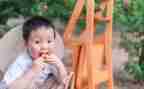 摘果子幼儿园教案8篇
