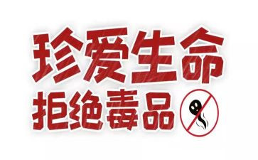 张子权事迹观后感优秀8篇