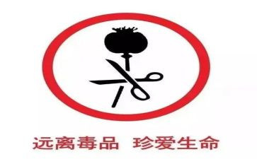张子权先进事迹观后感5篇
