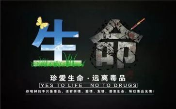 张子权事迹观后感优质7篇
