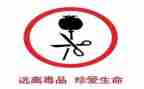 张子权先进事迹观后感5篇