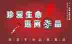 张子权先进事迹心得体会优质5篇