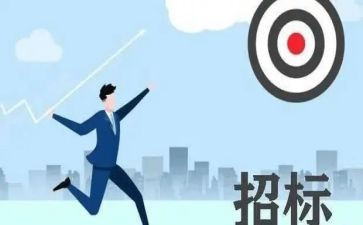 招标代理年度总结8篇