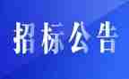 招标采购工作总结5篇