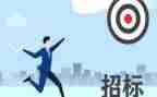招标代理个人总结7篇