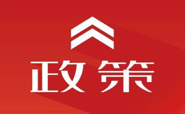 政策与形式的心得体会6篇