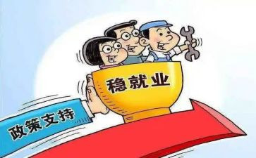 政策的心得体会6篇