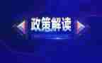 小学双减政策教师心得体会5篇
