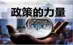 双减政策的作文5篇