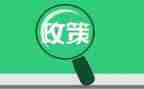 型势与政策心得体会通用6篇