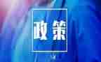 政策和形势心得体会模板6篇