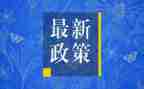 型势与政策心得体会6篇