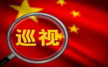 班子巡视整改对照材料6篇