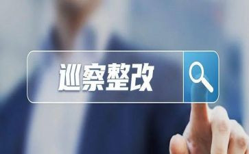 巡视整改的对照材料7篇