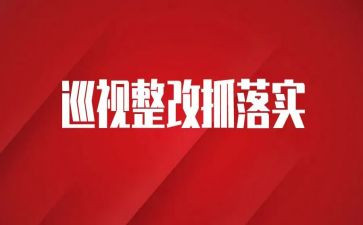 局巡视整改班子对照材料6篇