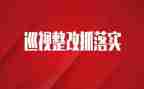 局巡视整改班子对照材料6篇