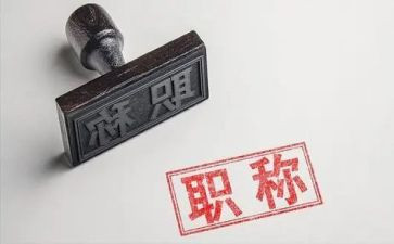 申报正高级教师工作总结5篇