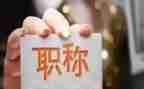 正高级职称专业技术工作总结5篇