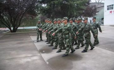 师德师风整训心得体会6篇